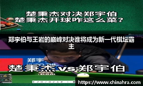 333官网
