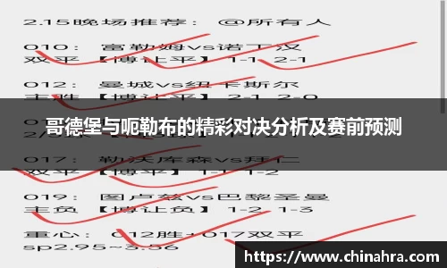 哥德堡与呃勒布的精彩对决分析及赛前预测