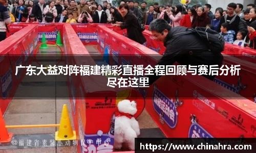 333官网