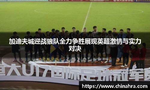 加迪夫城迎战狼队全力争胜展现英超激情与实力对决